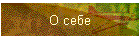 О себе