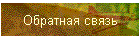 Обратная связь