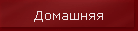 Домашняя