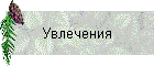 Увлечения