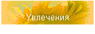 Увлечения