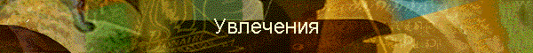 Увлечения