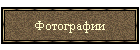 Фотографии
