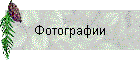 Фотографии