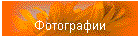 Фотографии