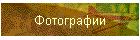 Фотографии